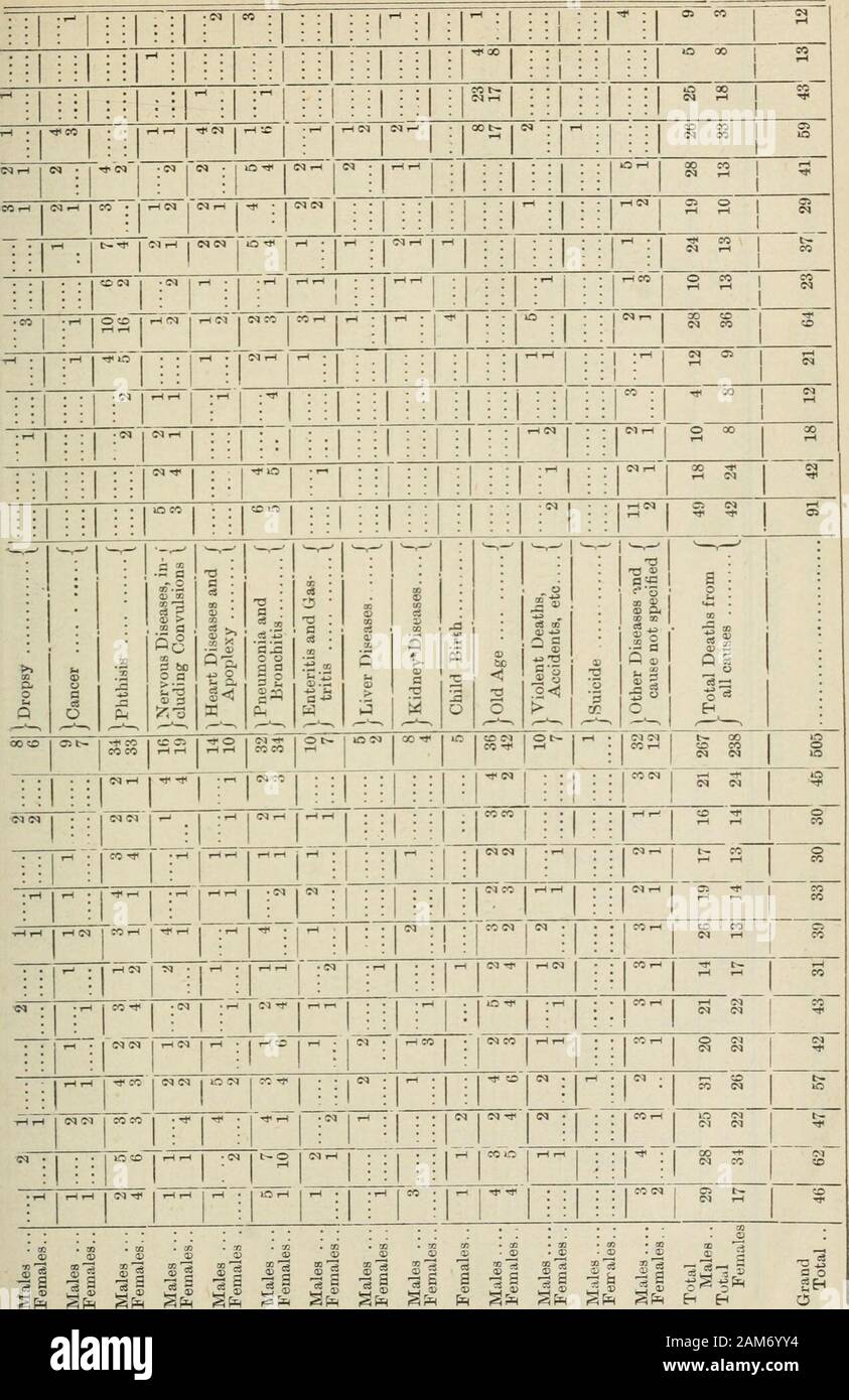 Ontario documenti di seduta, 1892, No.8-11 . *&Lt; ?"&lt;CO CO OO ?V • rH l-l'I-H W CO t-H &LT;M r- ^lM r-l io-io (M COCO ^ CO lO 05CO rH ?^ J 1 0 0 ?1 1 ai 0 a 5 &lt; 0 S DH &lt; i y 0 D 8 D 1 i &lt; O;3^ H j ( ii i 1 s ( I ?1 &lt; ho 0 3 1!ho ?1 &lt; 3K i TotalMales.... TotalFemales.. XXIX. 55 Victoria. I documenti di seduta (n. 10). A. 1892 •nAon3(U£^ •J8AO pUB QQ •06 0% 08 08 0% 01 OL o* 09 •09 o; OS OS 0? 0^ di o!" 08 ?08O?02 •OS 04 gx •ei o% 01 •01 o? E •andare; io O o f^ •IO"?oi lO T"io iH !0 -^ O , CO rf •J3qui8oa(j iH . •^ •jaqtn9AO^ •J9qo;)00 •jaqraa^dag •i;sn;3NY •ho£inp •aanp •it^IVI •Ifady •qojBj[ Foto Stock