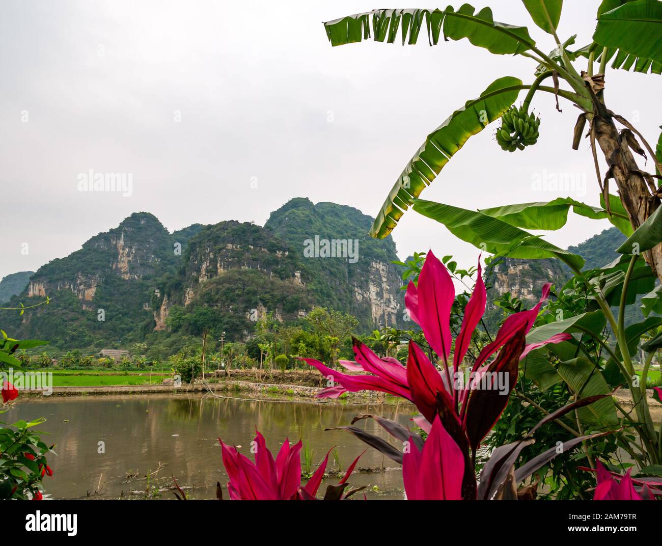 Vista delle montagne carsiche calcaree attraverso lo stagno di pesci, Tam Coc, Ninh Binh, Vietnam, Asia Foto Stock