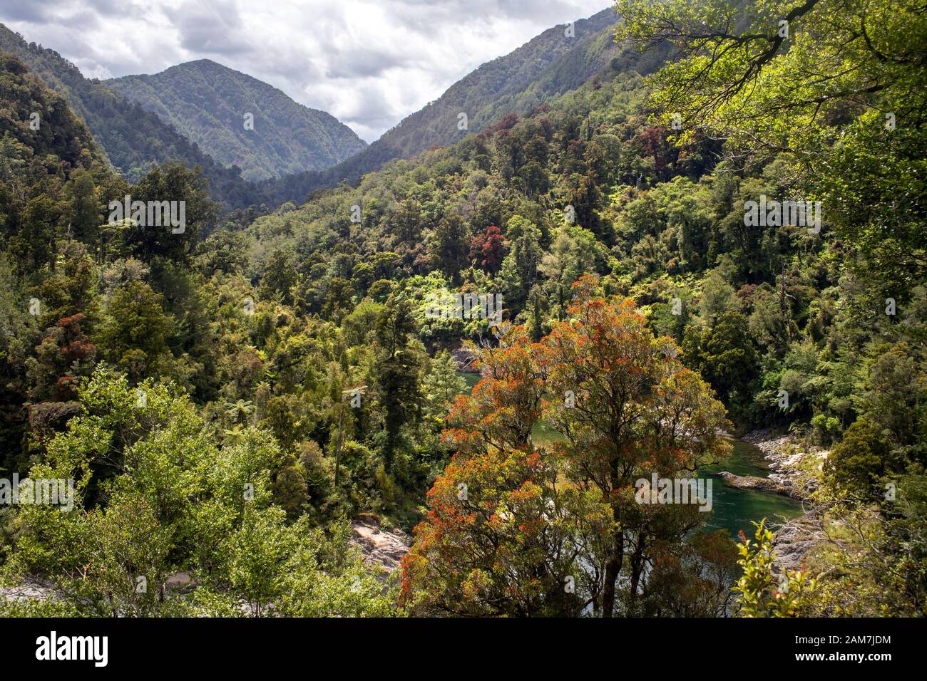 Walking the Old Ghost Road trail, Lyell to Seddonville, New Zealand. Mokinhinui river approximately 10km from Seddonville Foto Stock