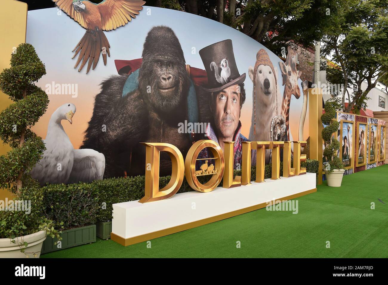 WESTWOOD, CA - gennaio 11: atmosfera alla premiere di Universal Pictures' 'Dolittle' al Regency Village Theatre on gennaio 11, 2020 a Westwood, California. Foto Stock