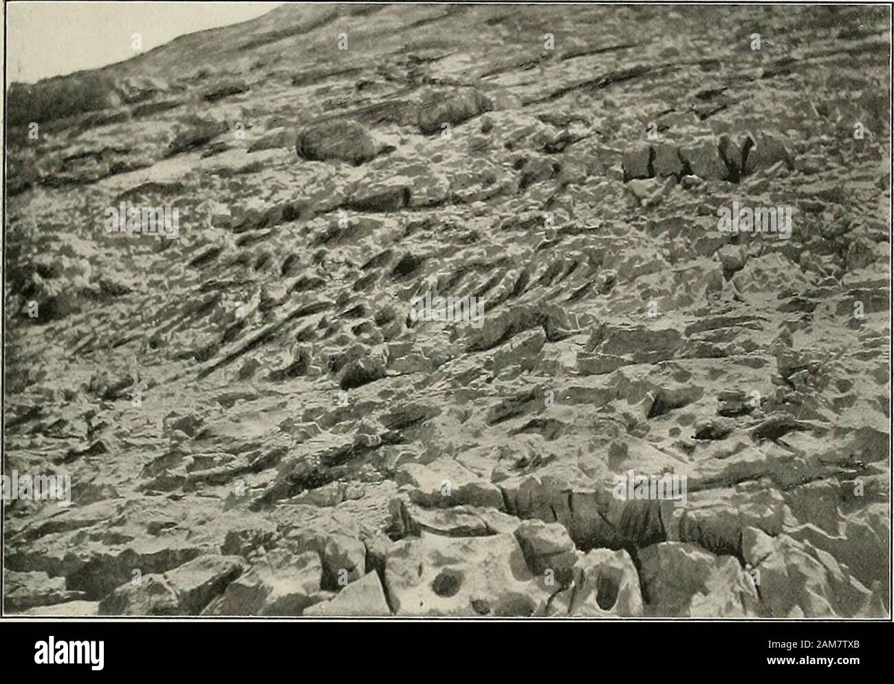 Il National Geographic Magazine . o W bo (LI Ph 02 0) P&LT; en la nostra Northern Rockies 367. Erosione del calcare vicino a picco Silvertip un marciapiede non calcolato per aumentare il nostro tasso di viaggiare per molte miglia al giorno lato ruscelli si uniscono il fiume principale e tocross il fiume in questi canyon districtsis impossibile. Quando l'acqua è elevata,viaggiando in questa valle è fuori thequestion. Ad un certo punto il tutto fiume,quando a bassa stadi, scorre in due chan-nel, ciascuno non più di cinque o sei feetwide, cui ma}- essere attraversato shodby secco il molleggio su di loro, sebbene leviti è di 50 piedi o più in profondità. A differenza del sw Foto Stock