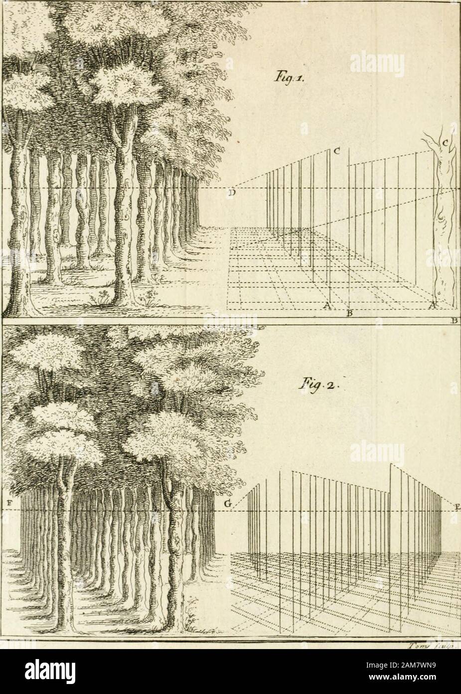 Dictionarium polygraphicum, o tutto il corpo delle arti regolarmente digerito ..: illustrato con cinquanta-sei piastre di rame . .B ^ ^ ^jt di Anversa, è stato advifed da Peter Paul Rubens per applicare himfelf per incisione j ha inciso le opere del faidKubens, come alfo thofe di Raffaello e Vandyke. Martin De Vos, nato nell'anno 15+0, fludied in Italia,vissuto ad Anversa, eccelso in hiflory j morì nell'anno l6o4&GT;invecchiato fixty-quattro, Zhnoyi VOUET, nato nell'anno 1582, imparato di suo padre.visse a Venezia, Roma e Parigi; eccellevano nella hiftory andportraits; morì nell'anno 1641, di età compresa tra i Cinquanta-nove anni. Foto Stock