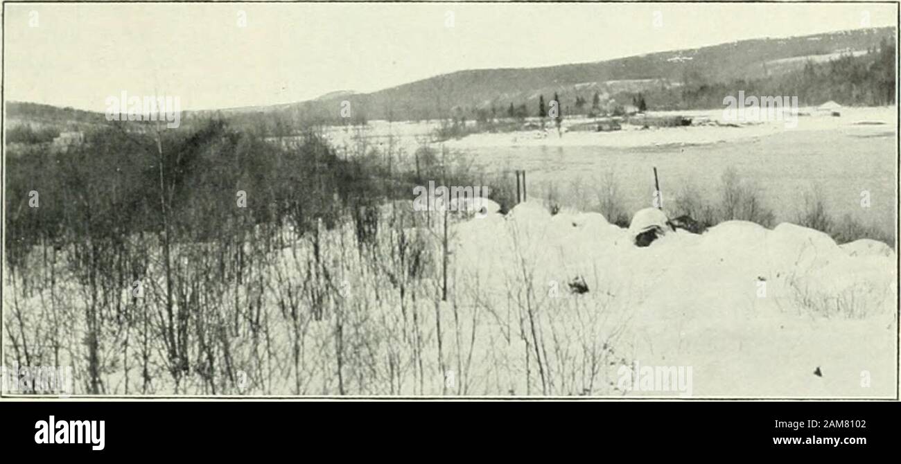 I documenti di seduta del Dominion del Canada 1911 . Egli capo del lago tra Haileyburyand ^furray. IXLETS DI TIMISKAMIXG. Il fiume Quinze porta tutta la tomaia Ottawa acque nella baia di Paulson. Scarichi TheBlanche un area di argilla di 1.800 miglia quadrate e il fiume di Montreal un richlymineralized rock area di 2.800 miglia quadrate. Il Matabitchouan drena una serie oflakes raggiungendo quasi Timagami e il fiume Kipawa è la principale aspirazione Kipawa fromLake. Uscite di TIMtSKAJlING. L'unica uscita è in corrispondenza della sua estremità sud. dove, attraverso i lunghi Sault Kapids, thewaters caduta 59 piedi in sei miglia in sette Foto Stock
