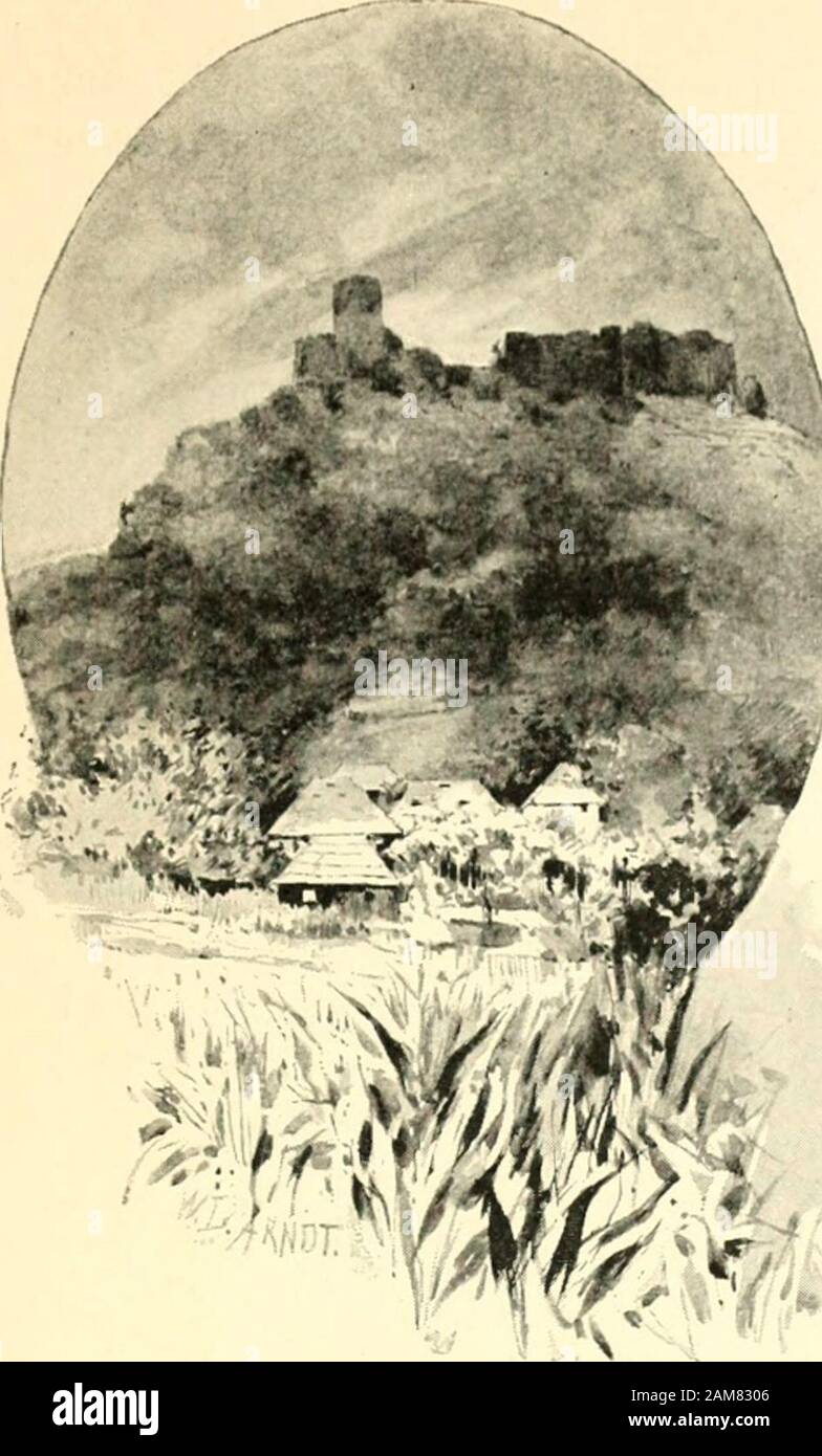 Durch Bosnien und die Erzegovina kreuz und quer; Wanderungen . "Ich sah daselbst - schreibt Radimsky -in dem seichten Wasser Längs des Ufers vieleKöpfe eingerammter Holzpfähle; da aber damalsmeine Zeit beschränkt und bei oberflächlicherBesichtigung zwischen den Pfählen nichts essere-sonderes zu bemerken guerra, beschloss ich, späterbei sich darbietender Gelegenheit die Stellenäher zu untersuchen. Ich setzte übrigens keinegrosse Hoffnung auf das Ergebnisa dieser Unter-suchung, da ich in Otoka, Brekovica, Bihacund Kulen-Vakuf auch die heutigen Anwohnerdes Unnaflusses noch als "Pfahlbauern&LT; kannte,d Foto Stock