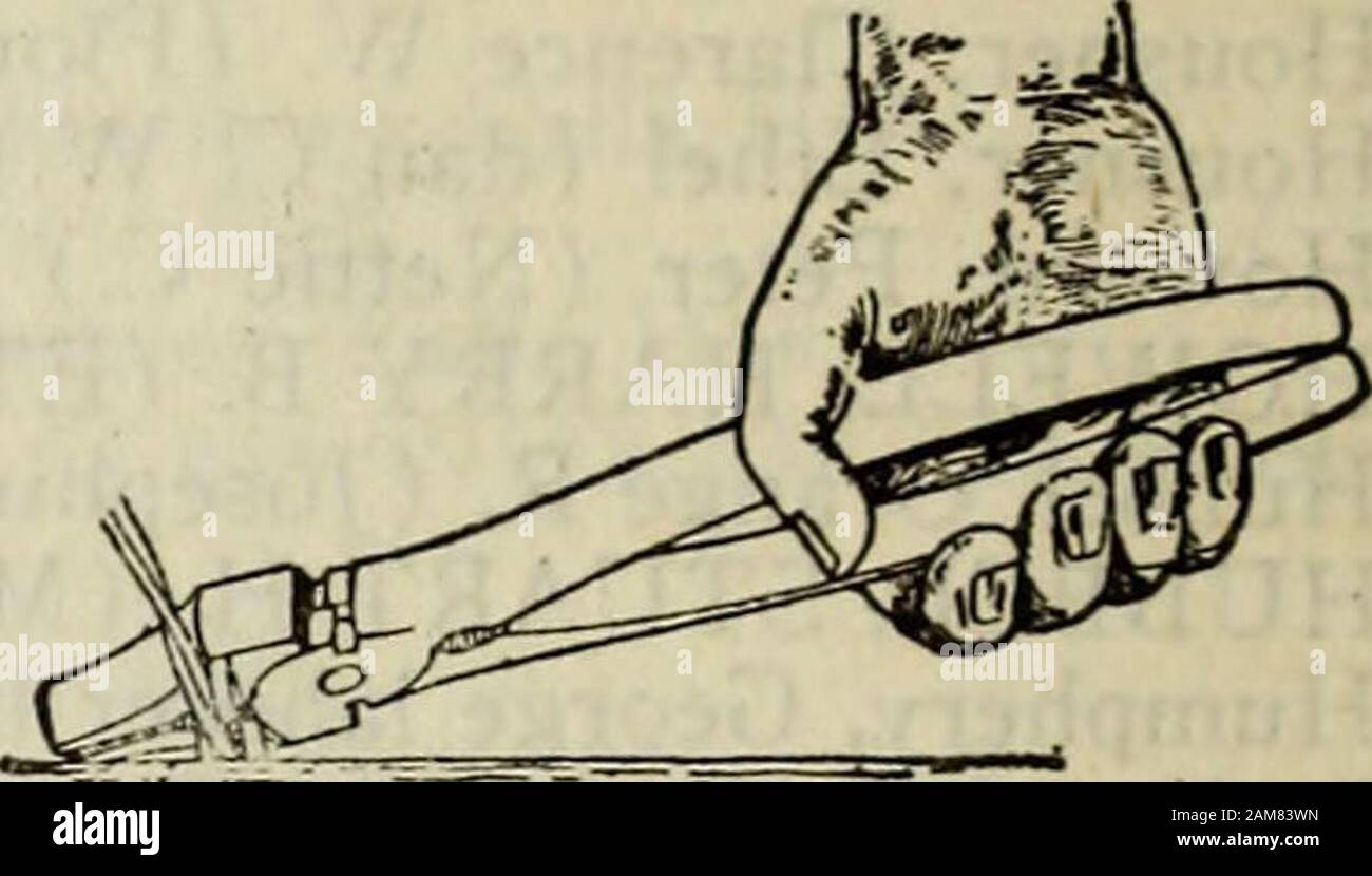 Yates, Schuyler, Tompkins e Seneca contee, New York, farm directory . Pinza Cronks n. 1. Manufacturedby n. 20 estrattore di fiocco. Il Cronk & Carrier Mfg. Co. Elmira, a. Y. David C. Blair CoaJ, Lvimber, herpes zoster, materiali da costruzione, Lehigh cemento portland, calce, intonaco, il cartongesso,zincato coperture in gomma, fertilizzanti, massa di pietra calcarea. In stagione ho acquistare mele, pere, fagioli, patate. Montour Falls, N. Y. S. J. carbone marrone, cemento, Fattoria e giardino semi Commercio all'ingrosso e al dettaglio.Montour Falls, IM. Y. SCHUYLER COUNTY. 177 Stout, Levi A. operaio bds Giacobbe M. Danley Montour Falls H13. Stran Foto Stock