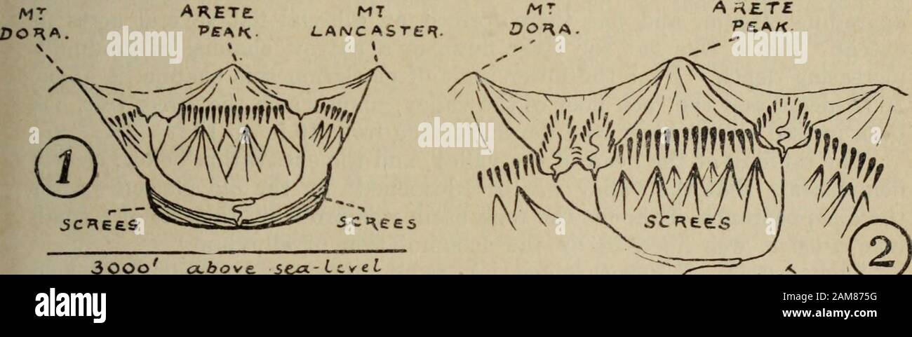 Transazioni della Royal Society of New Zealand . Adkin..-Glaciazione Precedente nei Hanges di Tararua. 313 il circo principale alla testa della valle ha un diametro di quasi halfa miglio. I precipizi che formano le pareti delimitanti della cirque attaineda altezza massima di 800 piedi sopra il suo pavimento. Sotto il circo la valle a forma di U per circa due miglia, le pareti laterali a strapiombo hanno un'altezza di circa 400 piedi. La forma a U della valle è meno pronunciata alzaia estremità inferiore, e due miglia al di sotto del circo quest'ultimo si restringe, gradu-ally diventa a V, e infine gorged. La continuità di Foto Stock