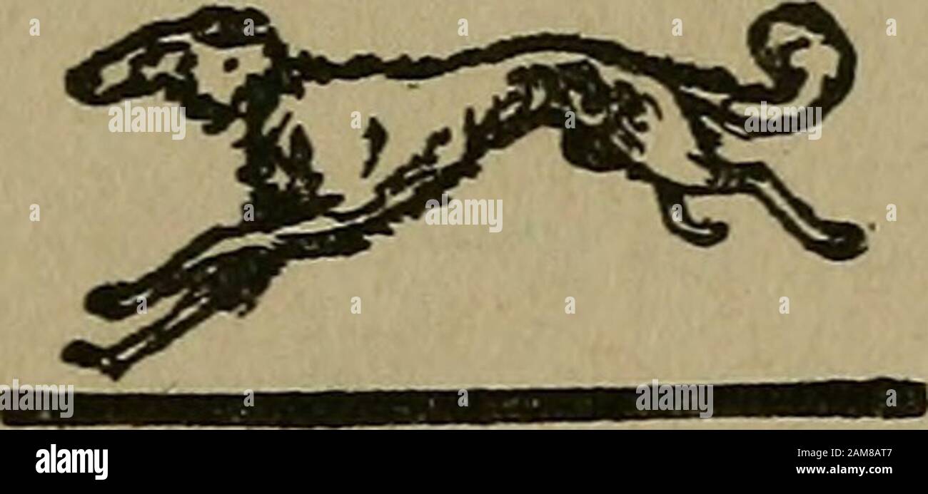 La storia di guerra di Fred Mitchell : tre anni nella zona di guerra . New YORK Alfred • A • Knopf 1918 COPYRIGHT, 1918, BYFREDERICK MITCHELL 1 ^ SEP I3I9IE STAMPATO NEGLI STATI UNITI D'AMERICA DEDICO QUESTO BOOKTO LE MADRI E CHILDREENOF FRANCIA Che hanno sofferto le agonie indette alle mani dei cosiddetti Kulturisti tedeschi e confidano che possa lui il mezzo di portare una piccola speranza e gioia nei loro cuori attraverso il restauro delle loro case. Prefazione il mio oggetto principale nel portare fuori questo volume di esperienze mydurante la parte iniziale della guerra ha fatto trasmettere ai lettori americani una vera idea Foto Stock