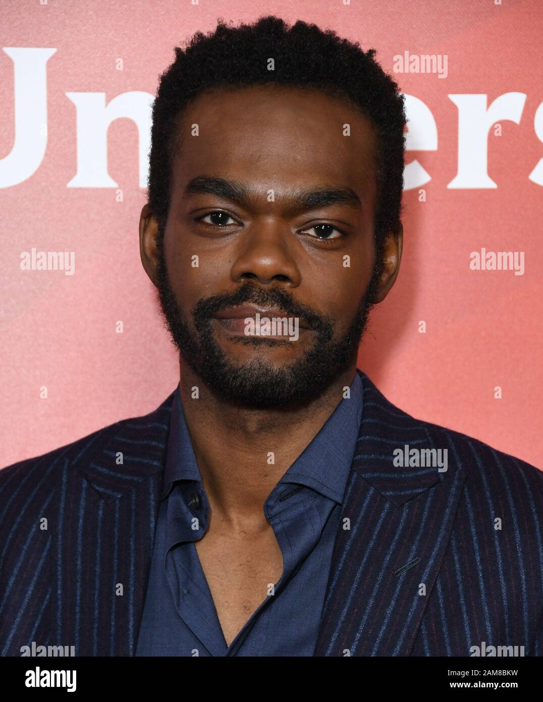 11 Gennaio 2020 - Pasadena, California - William Jackson Harper. NBCUniversal Winter Press Tour 2020 tenuto al Langham Huntington Hotel. Photo Credit: Birdie Thompson/AdMedia/MediaPunch Foto Stock