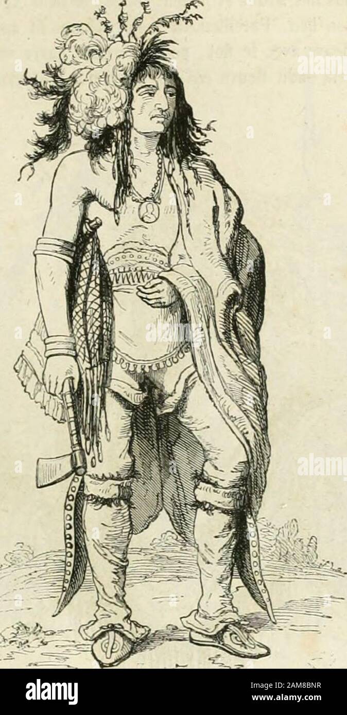 Voyageurs anciens et modernes, ou Choix des relations de voyages les Plus intéressantes et les Plus instructives depuis le cinquième siècle avant Jésus-Christ jusqu'au dix-neuvième siècles, avec biografie, note et indicazioni iconographiques . avions pris le précédent voyvoyage. Nous trouvâmes plusieurs gens du Pays qui commencèrent à fuiret ne voulurent pas approcher, jusquà ce que lesdits deux hommes commencèrent à parler et leur direquils étaient Taiguragni el Domogaya. Et alors ils eurent connogny deux, commencèrent à faire () LMle Rouge et lile Blanche. () « Attendre le Fellux. » (Lcs Foto Stock