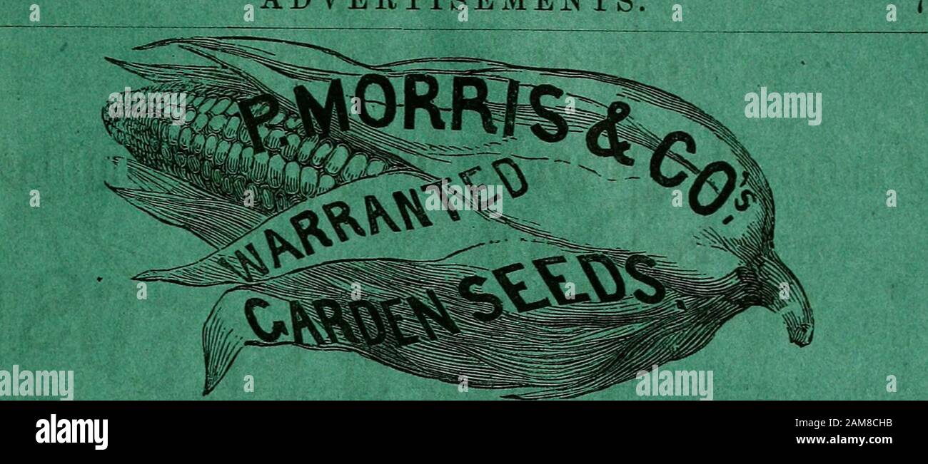 Elenco delle città di Philadelphia di McElroy . Druggist* &lt;i)i&lt;t Country Merchants forniti a termini liberali, @fi DAVID LANDRETH & SON, nn. 21 e 23 South Sixth Street, East Side, Philadelphia. Rami:{t^ ST. Louis, N. 18 South Main Street.CHARLESTON, S. C, N. 297 KINs Street. PUBBLICITÀ. PASCHALL MOERISS Jgrkiilteal anfo Attrezzi e SEMI per l'orticoltura WMlHfflMSE, N. E. angolo delle Seventh & Market Streets, Philadelphia. Dove è disposto ad offrire notevolmente le facilità aumentate agli acquirenti per tutto in hisline di affari, ALL'INGROSSO O AL MINUTO. È Agente a Philadelphia Foto Stock