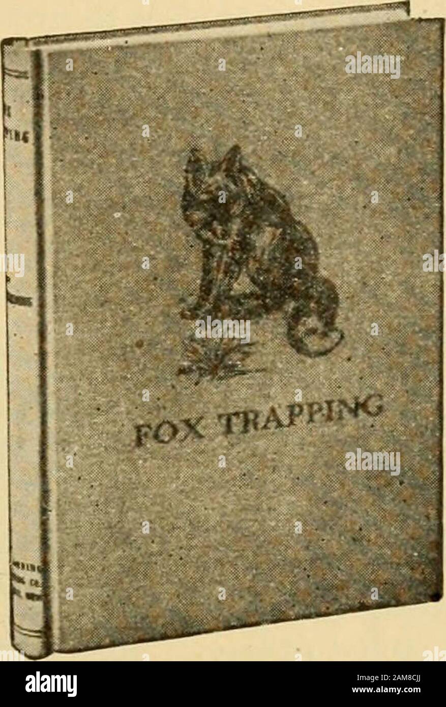 Gleanings nella coltura dell'ape. Pers. . .,yr^< questo libro è edito da una. Harding, of theHunter - Trader - Trapper.contains circa cinquanta illus-trations e quasi 200pages, ed è diviso intotwenty capitoli come fol-lows: I. informazioni generali. II Mink E Le Loro Abitudini. III. Taglia e cura delle pelli. IV. Esche buone E Durature. Esca e Profumo. VI Luoghi Da Impostare. VII Metodi Indiani. VIII Mink Che Intrappola sulle Prairies. IX. Metodi Del Sud. X. Metodi del Nord. XI Modi Insoliti. ? XII Metodi Dei Trappers Dell'Illinois. XIII. Percorsi Trapers Esperti. XIV. Molti Buoni Metodi.Xv Set Di Sale. XVI. Registrare un Foto Stock