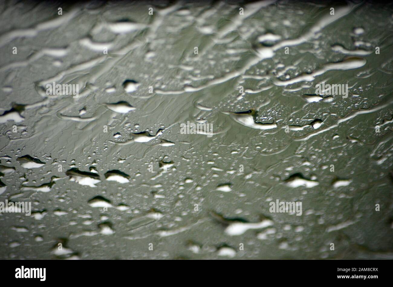 Spalmare verde con intets di gocce di acqua blu lucente sul vetro. Foto Stock