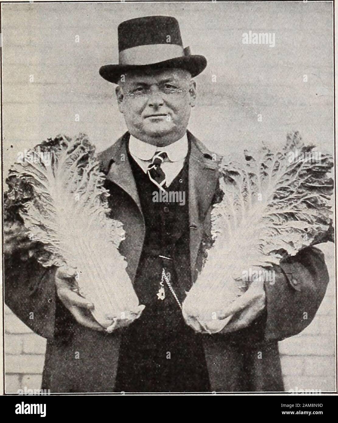 Semi di Stokes : 1918 . All-Head Early Cabbage 13S Drumhead (Hard-Heading Savoy) il successo che abbiamo ottenuto con Savoy Cabbage durante le ultime due stagioni tra i giardinieri di Philadelphia è stato altamente incoraggiante. Hard-Heading Savoy è un cavolo che è ben savoied e di un bel colore profondo. In verità per tipo e qualità inieading crediamo che sia unexcelled. Pkt. 5 cts., oz. 50 cts., y4lb. 1,40 dollari, libbre 4,50 dollari, postpagato. 140 Red Danish Stonehead (CRESCIUTO IN DANIMARCA) recenti prove di questo Cabbage hanno dimostrato che è uno dei più thetrruest di digitare nella nostra intera lista. Red Danish Stonebhead forma l'arca re Foto Stock