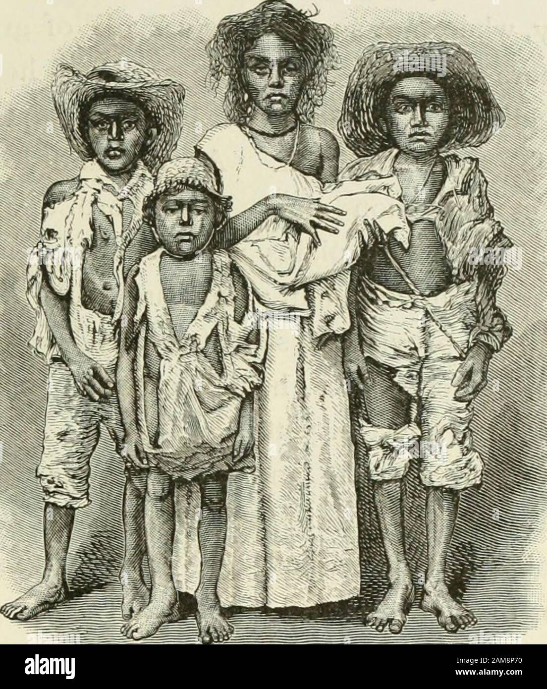 Brasile, le Amazzoni e la costa .. . – on al loro comando ; molti dei temi erano composti da uomini incompetenti, e alcuni erano ragionevolmente disonesti. La carità privata ha salvato molti, ma già, in luglio e agosto, decine di morti di inedia wererecorded. Nel mese di ottobre e novembre queste morti werecounted dal loro tasso quotidiano: Dieci, quindici, venti anche ina single rifugi eecamp, dove forse dieci o fif-teen millandwere aduned.Enumenous Molto morenumeretle morti fromdisease. La filaticità dei thecamps, e dei rifugi, combinati con la mancanza di cibo, li hanno resi aready preda toepidemie. Prima ca Foto Stock