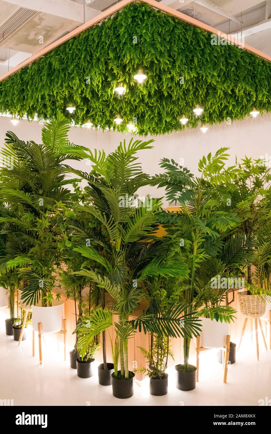 Decorazione interna con piante verdi e lampade sul soffitto, e piante in vaso sul pavimento. Foto Stock