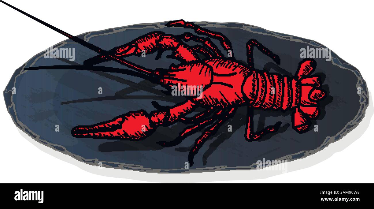 Gamberi impostato su immagine vettoriale piatto su sfondo bianco. Illustrazione Vettoriale