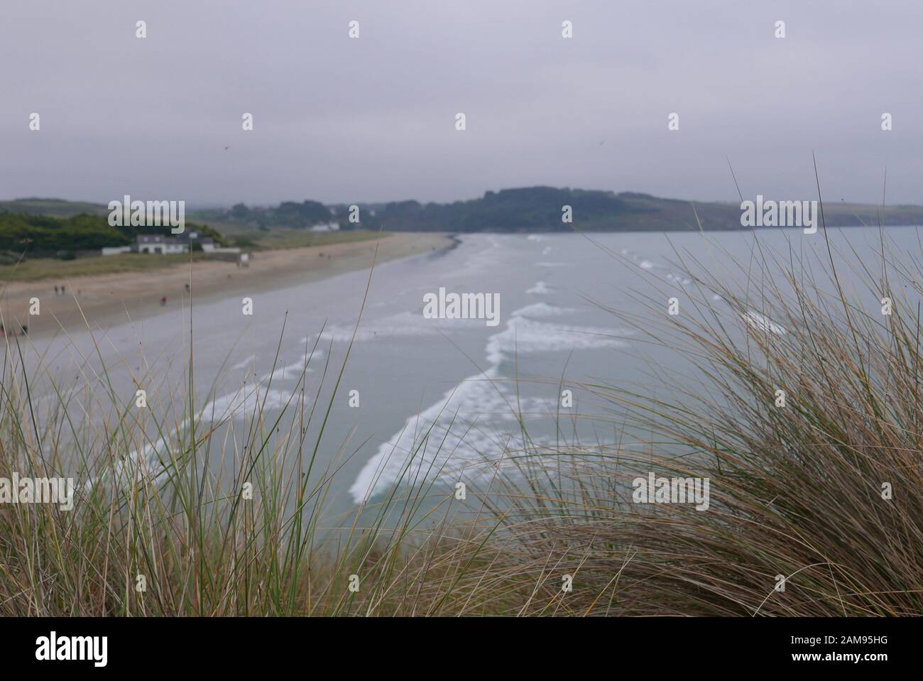 Passeggiata nella campagna della Bretagna in Finistere, Francia. Scoperta della flora e della fauna delle foreste Foto Stock