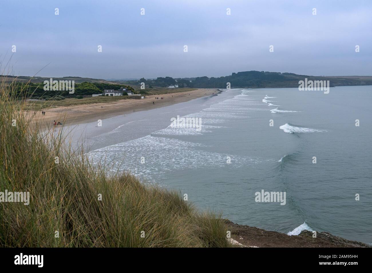 Passeggiata nella campagna della Bretagna in Finistere, Francia. Scoperta della flora e della fauna delle foreste Foto Stock