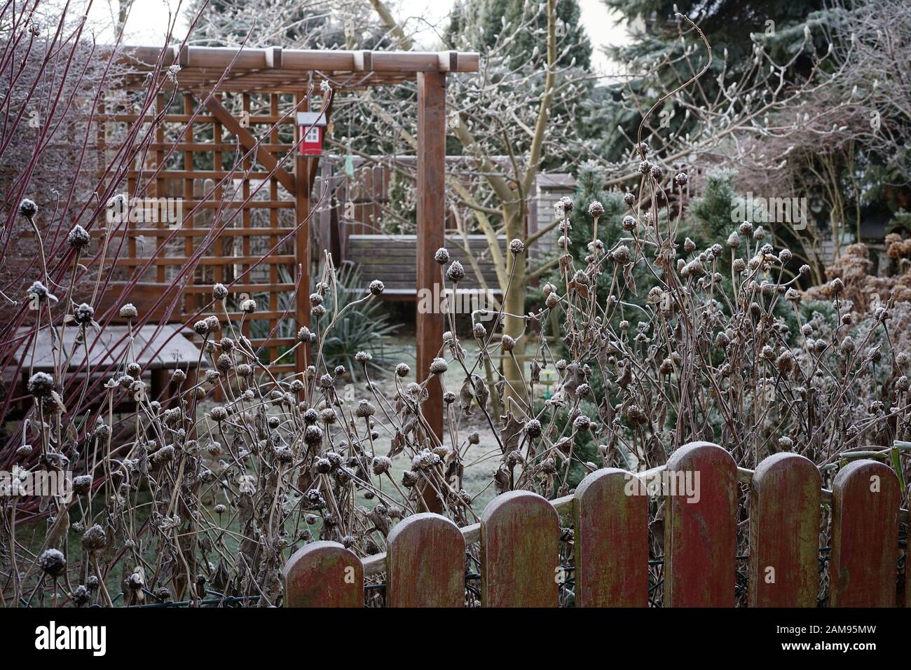 Giardino gazebo coperto con la prima luce neve Foto Stock