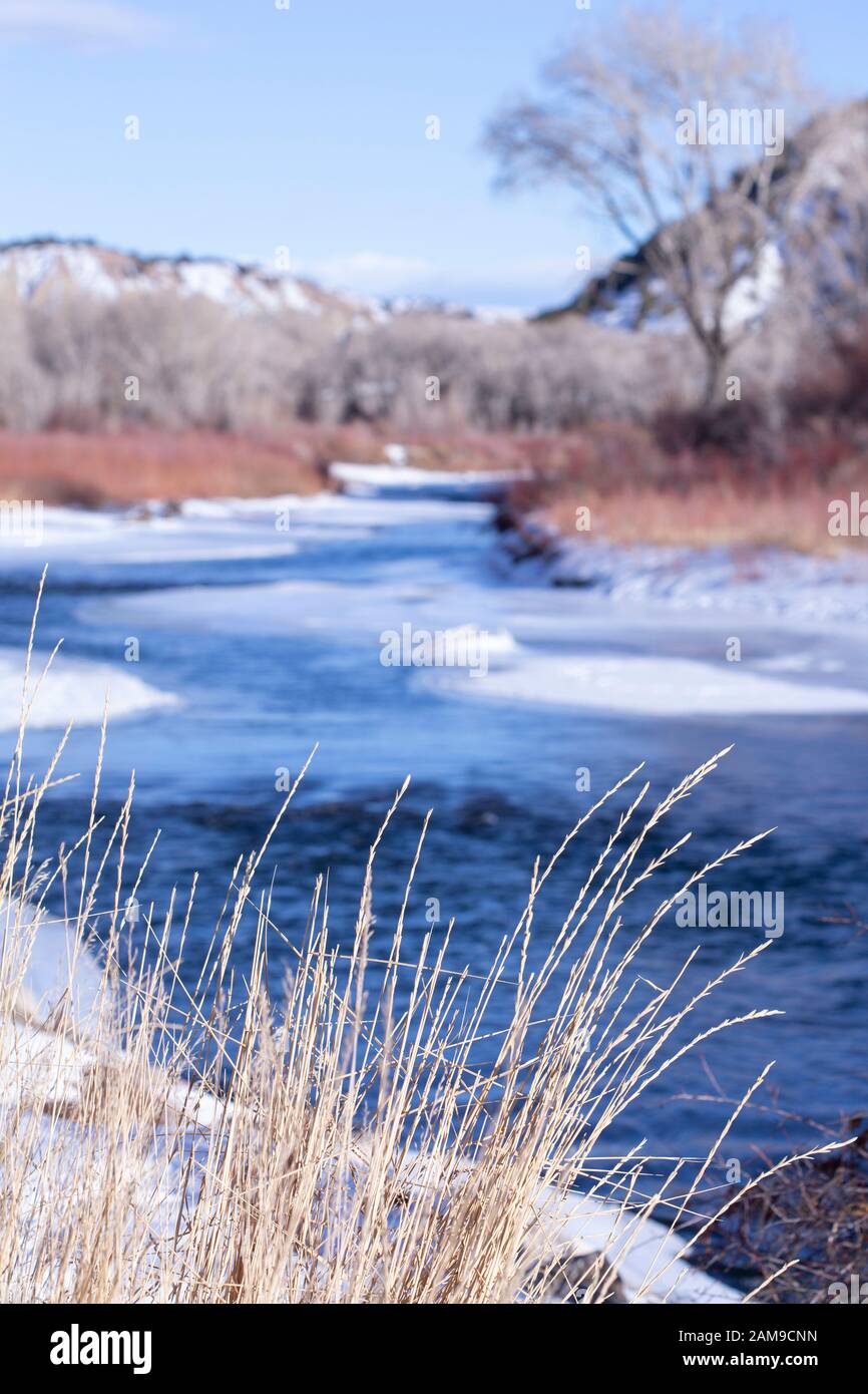 scena invernale su un fiume ghiacciato con erbe secche e banche nevose Foto Stock