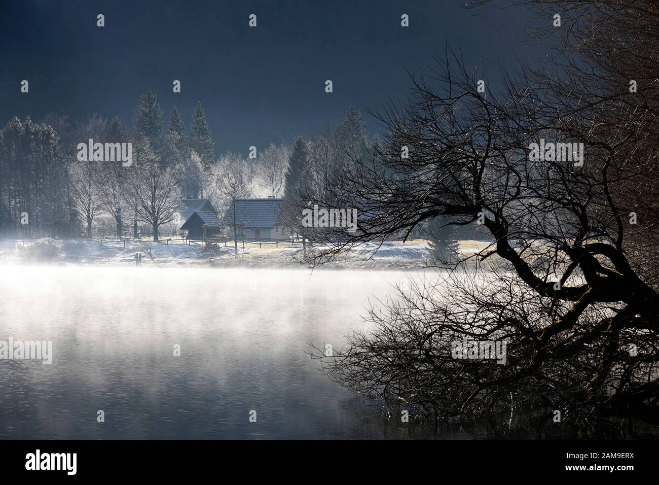 Misty mattina e cottage tradizionali al lago di Bohinj, slovenia, bella atmosfera Foto Stock