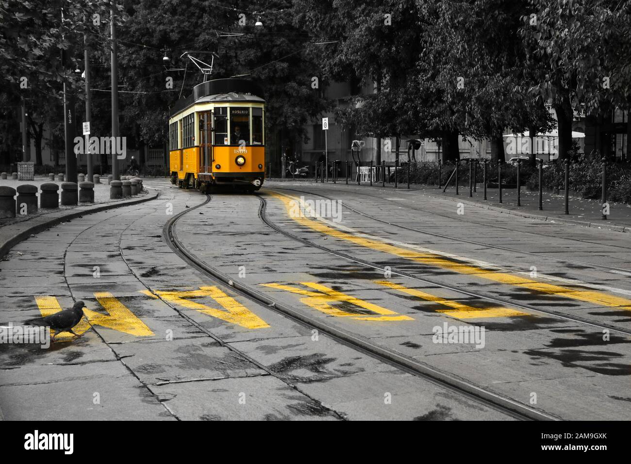 Una foto del tipico tram giallo a Milano, Italia, passando per il centro della città. Il tram è isolato su sfondo bianco e nero. Foto Stock