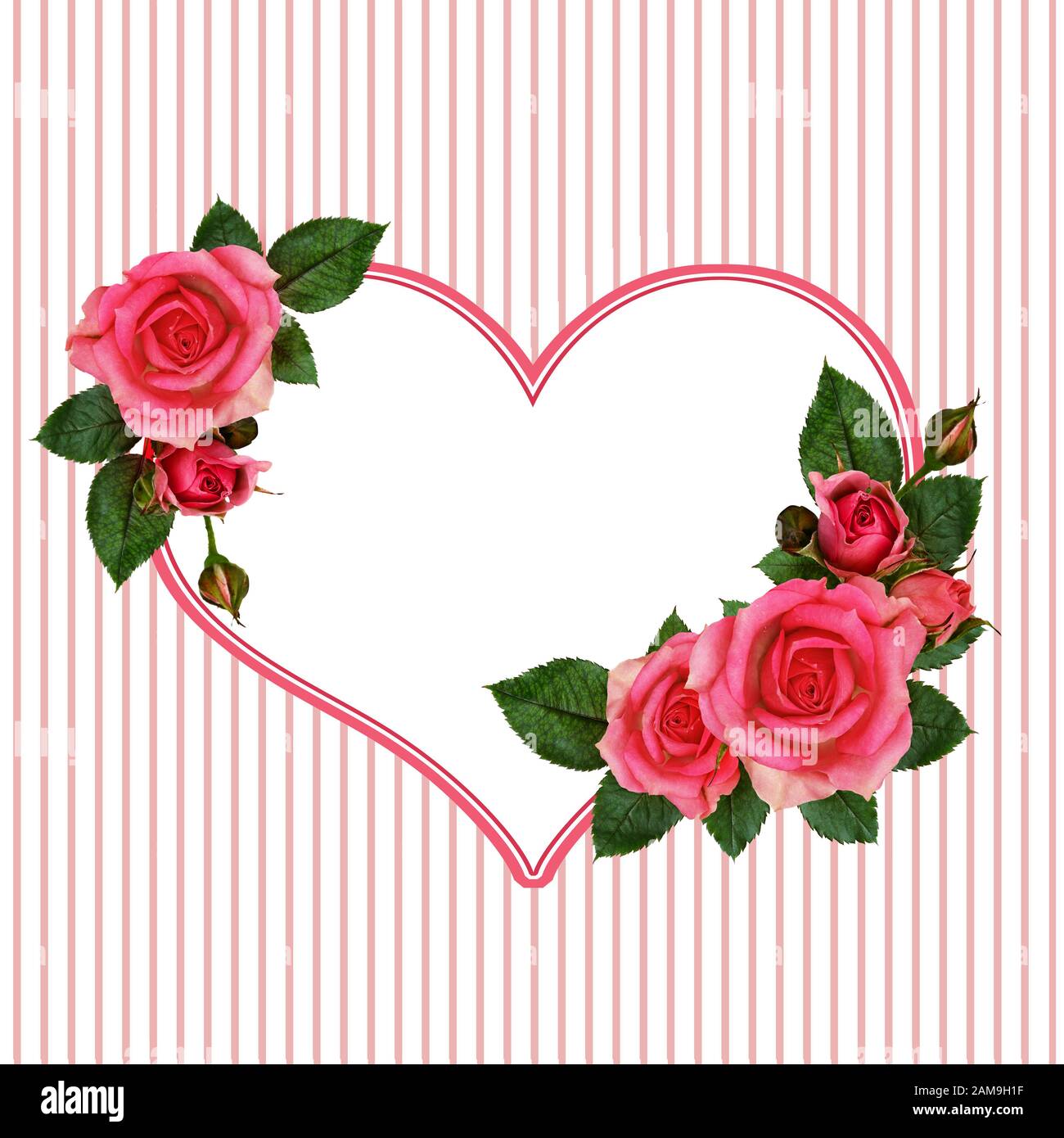 Fiori di rosa e cuore su sfondo rosa a righe Foto stock - Alamy