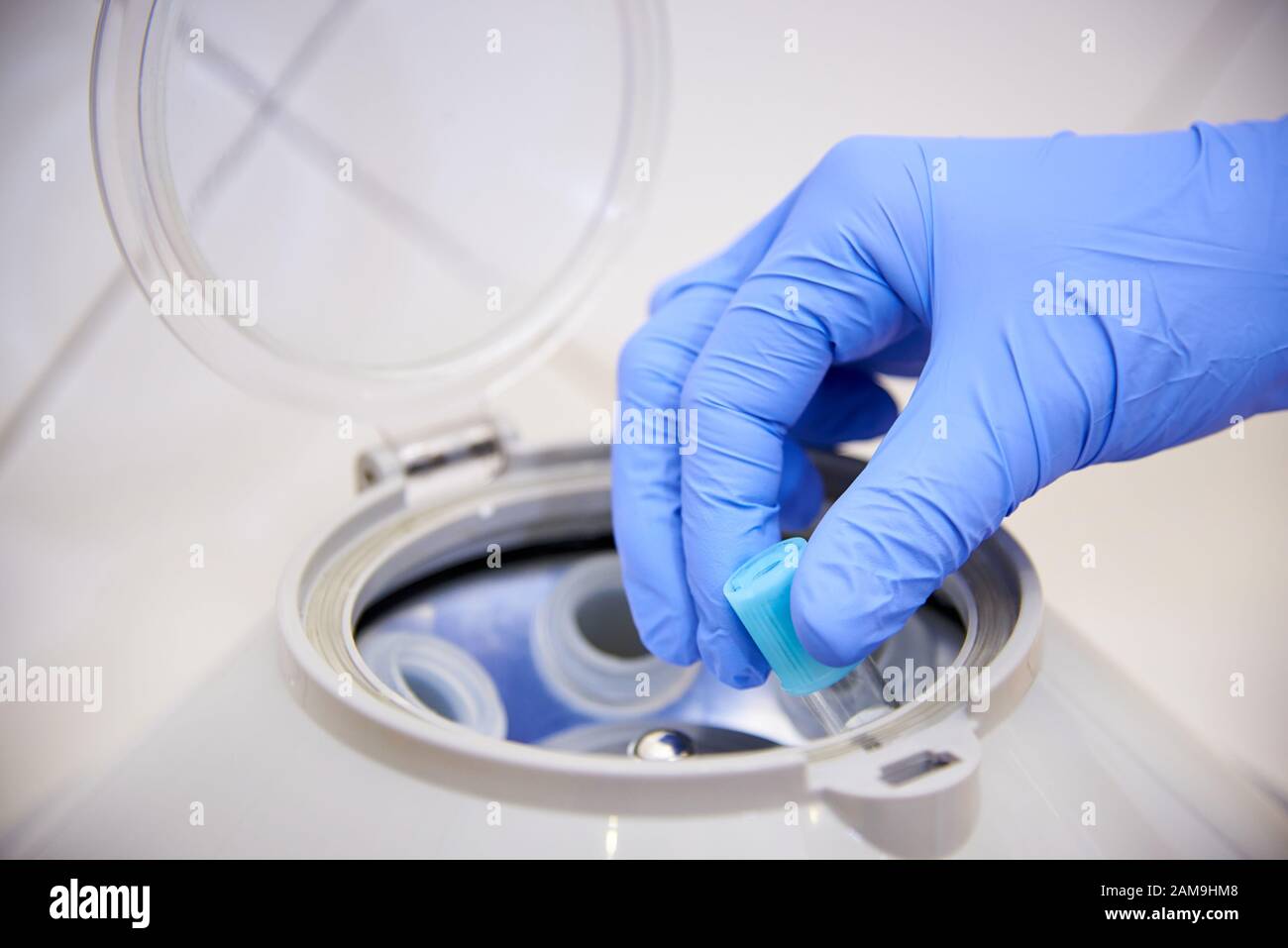 Il medico mette le provette in una centrifuga per l'analisi. Foto Stock