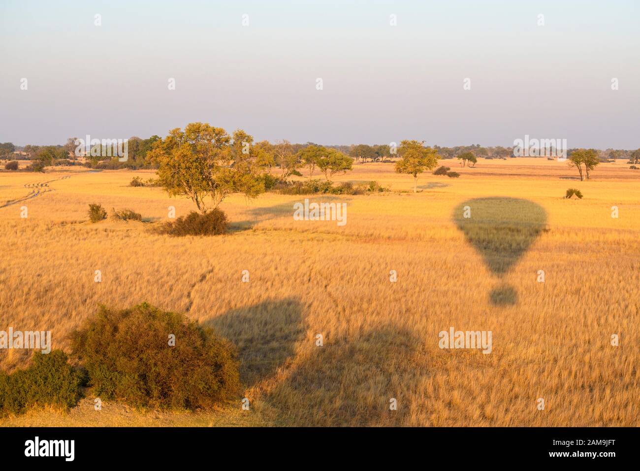 Veduta aerea del Delta di Okavango visto da un giro in mongolfiera, Bushman Plains, Delta di Okavanago, Botswana Foto Stock