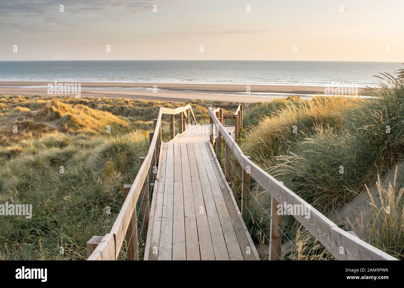 Ynyslas Sandunes in Ceredigion Mid wales. Questa sfera di Bio è un hoppsot gallese di festa, la fauna selvatica stupefacente, la natura e i tramonti. Foto Stock