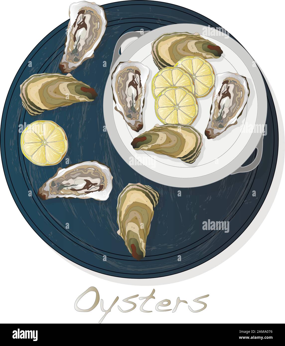 Immagini vettoriali di ostriche fresche aperte impostate su piastra/piatto isolato su sfondo bianco. Illustrazione Vettoriale