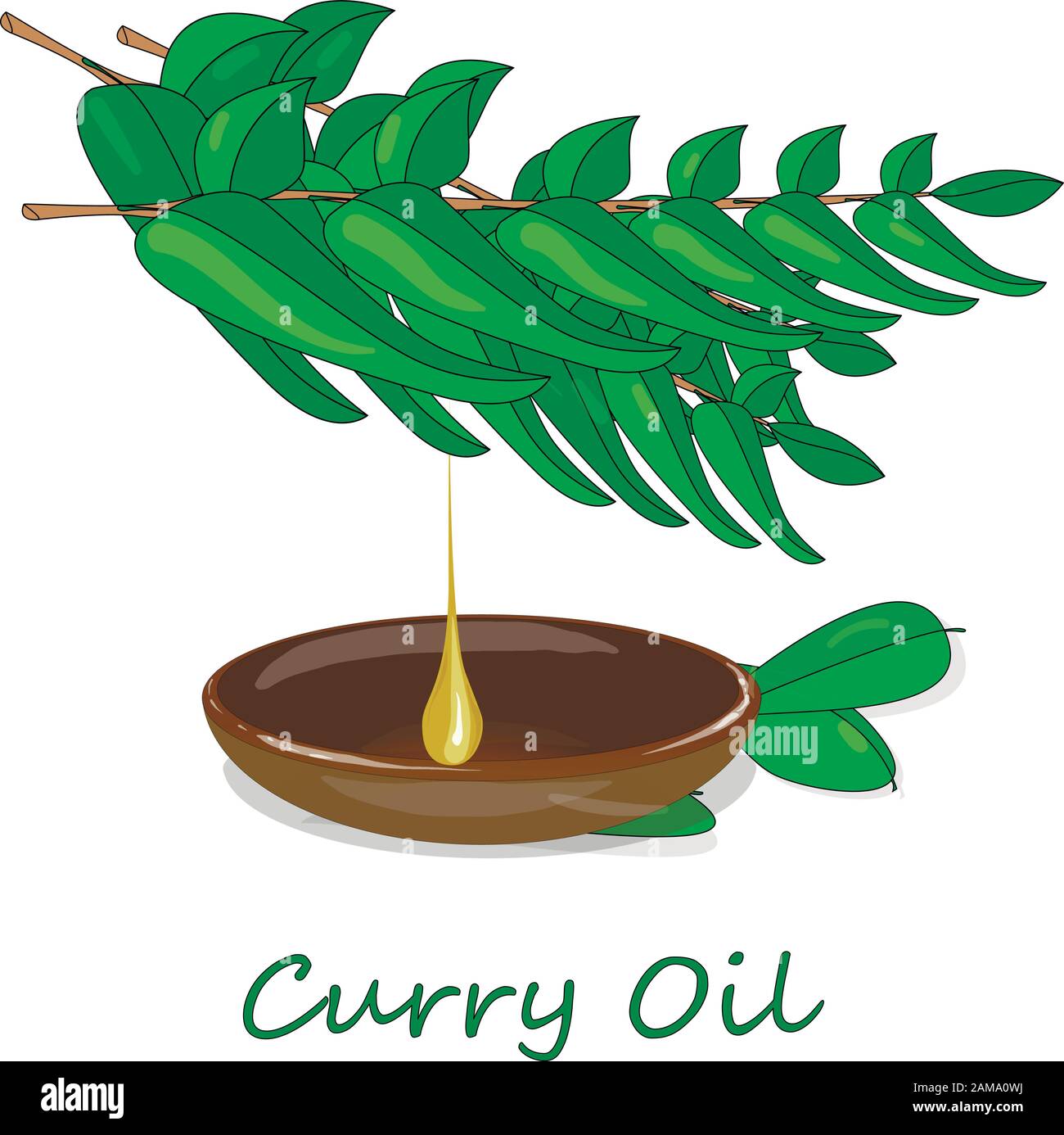 Erbe e spezie raccolta fogli di curry - illustrazione vettoriale. Illustrazione Vettoriale