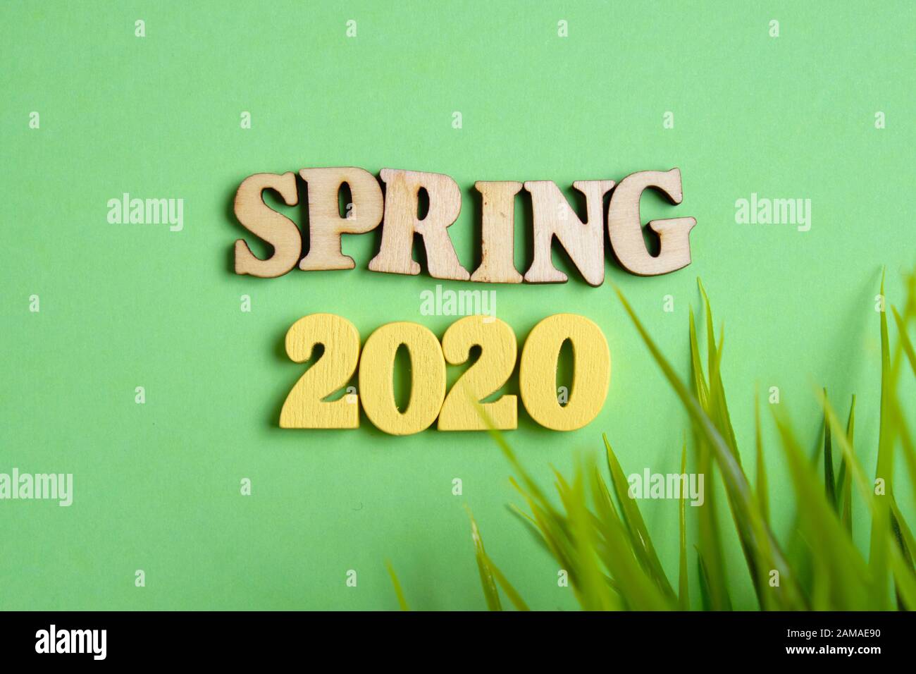 Il concetto di primavera nel nuovo anno. Numeri di legno 2020 con lettere su sfondo verde. Vista dall'alto. Primo piano. Foto Stock