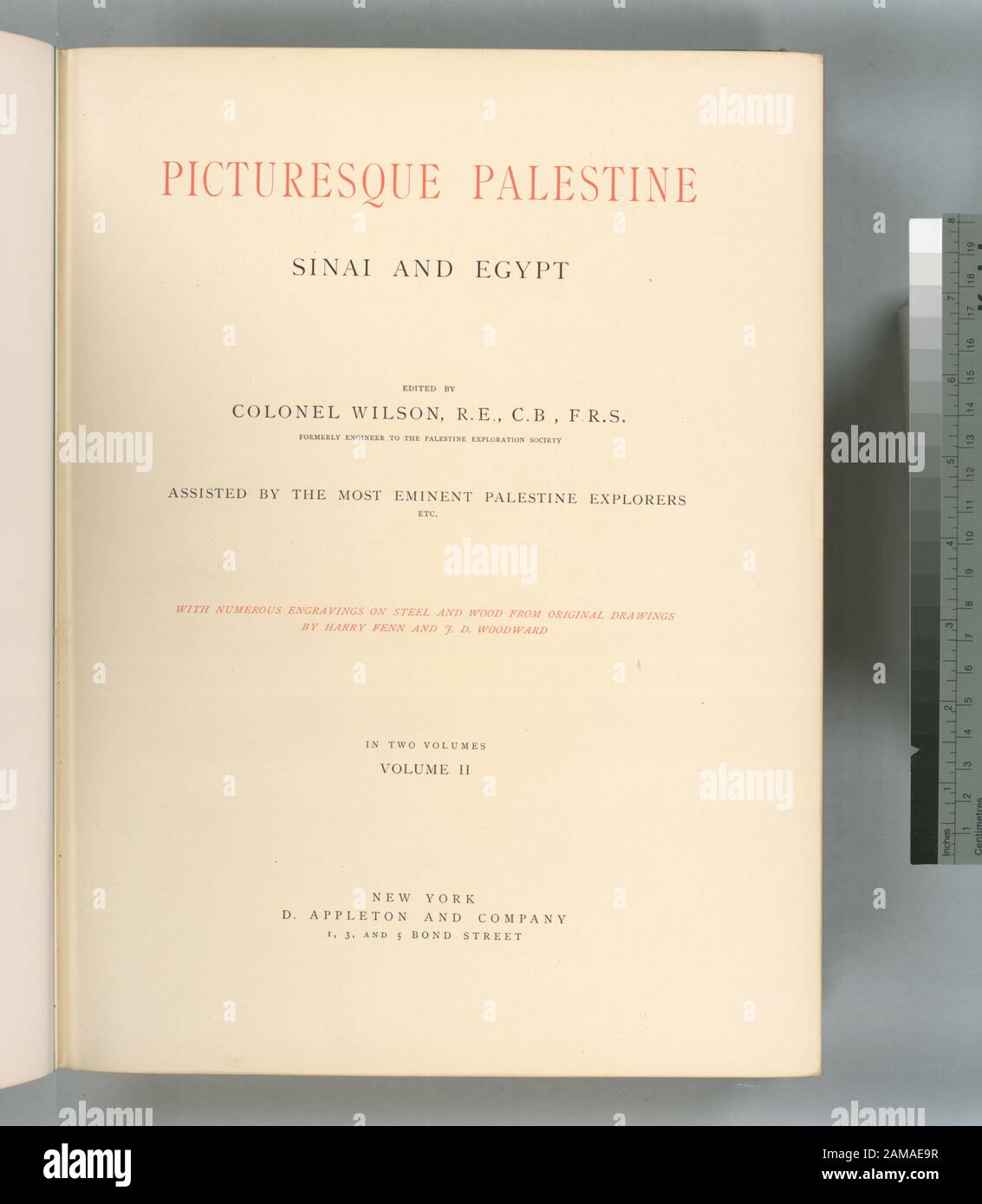 Pittoresca Palestina, Sinai ed Egitto Volume II (Metà titolo) Colonnello Wilson, ed.; Pittoresca Palestina, Sinai ed Egitto . . . Volume II [Metà titolo] Foto Stock