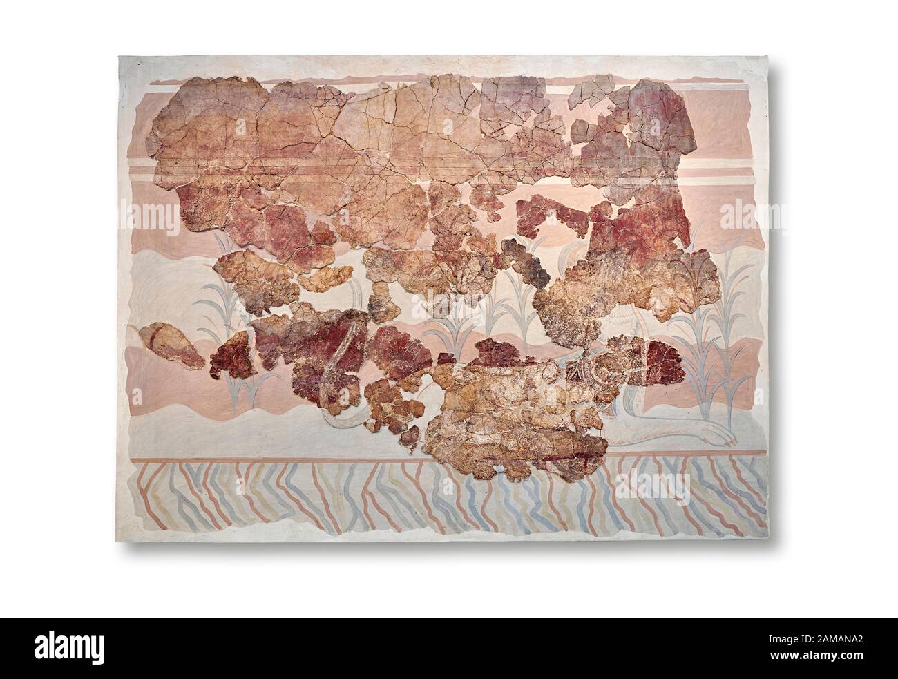 Affreschi minoici della Sala del Trono di Cnosso, 1450-1300 a.C. Museo Archeologico Di Heraklion. Sfondo Bianco. Questo affresco minoico raffigura Foto Stock