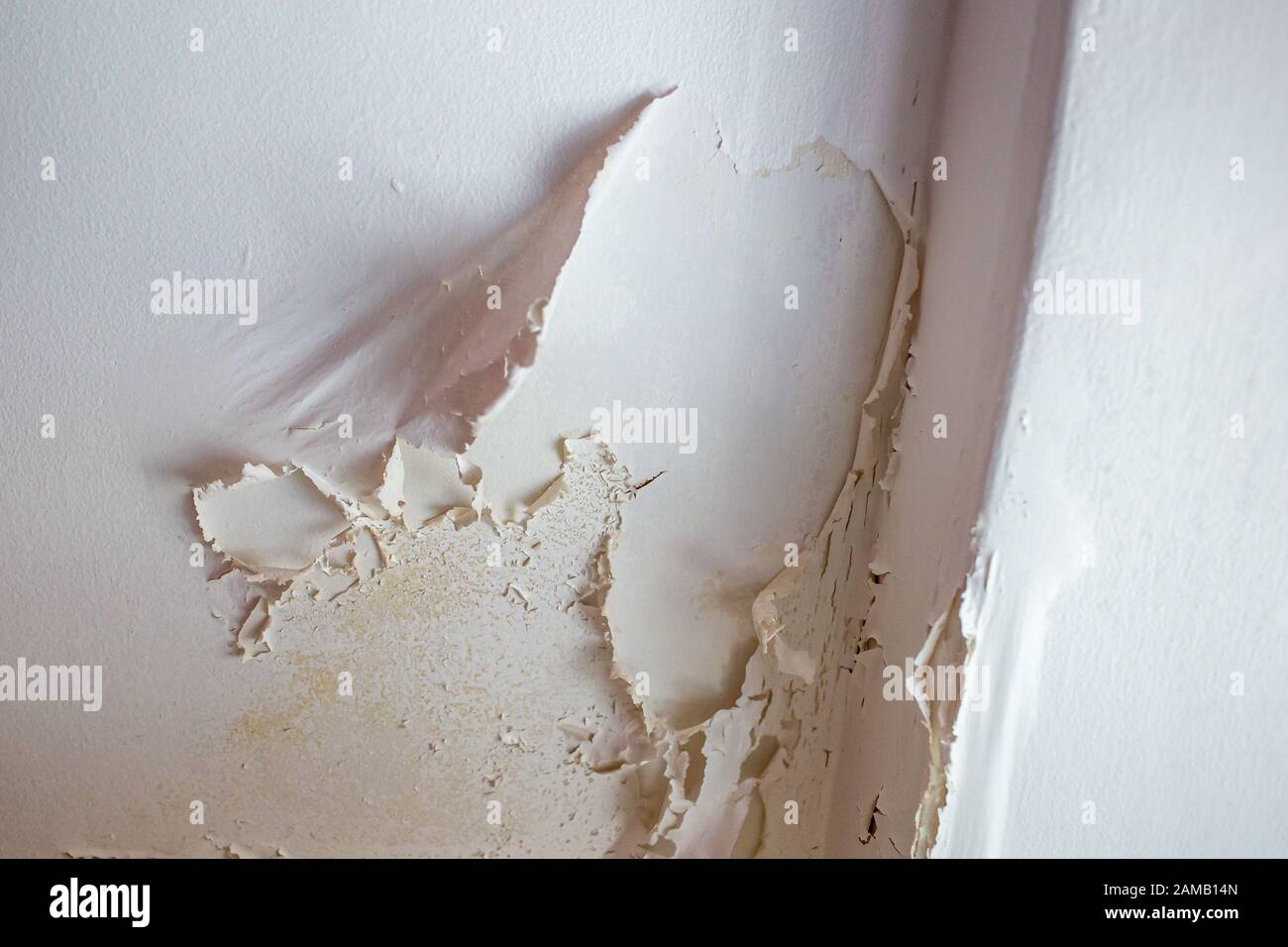 Pelatura della vernice del soffitto del bagno causata da umidità e condensa in eccesso Foto Stock