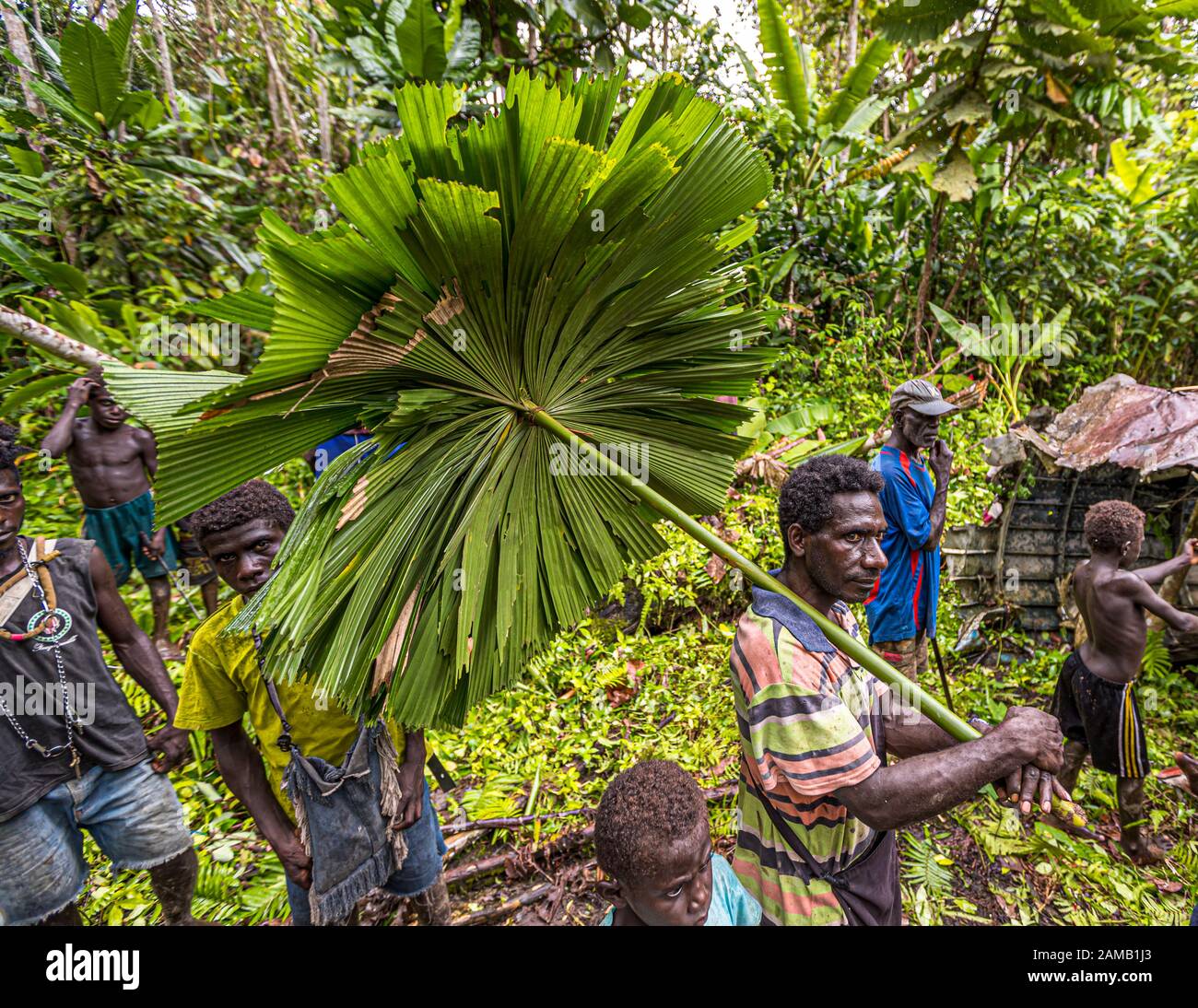 Rack di aerei dell'ammiraglio giapponese Yamamoto nella giungla di Bougainville, Papua Nuova Guinea Foto Stock