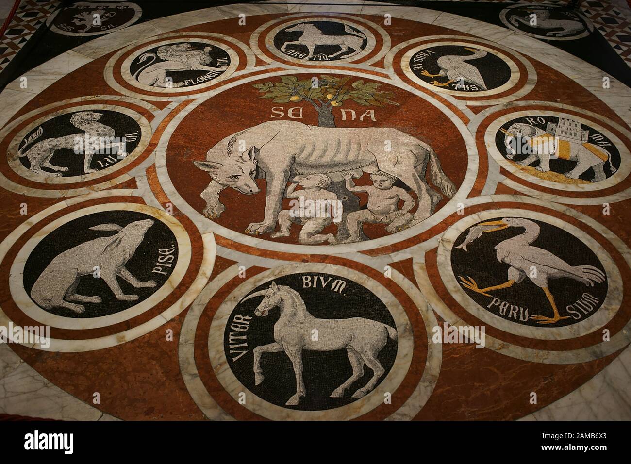 Mosaico al piano del Duomo di Siena che mostra Romolo e il suo fratello gemello Remus alimentato dal lupo interno della Cattedrale di Siena - Duomo di Siena Foto Stock