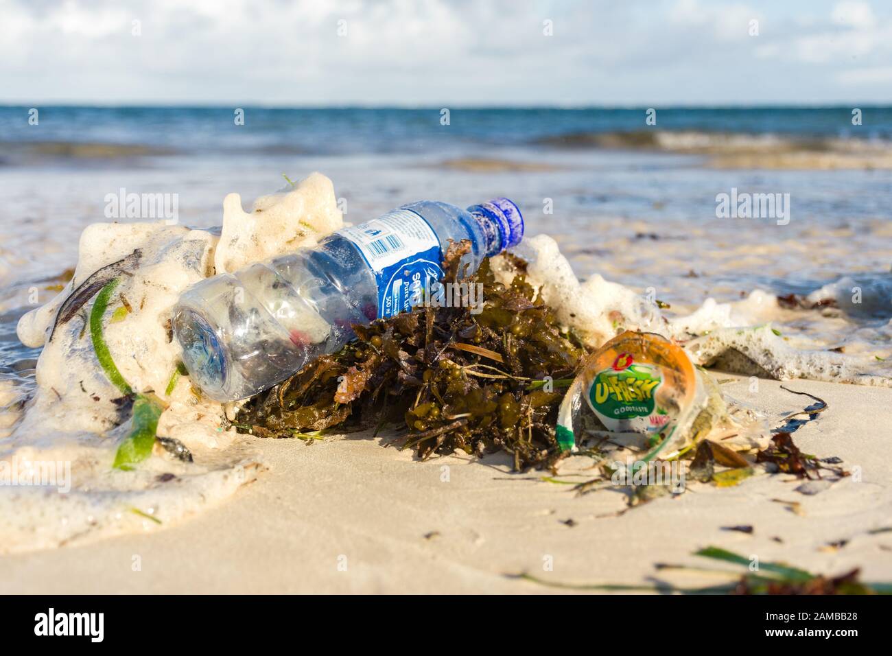 Una bottiglia di plastica scartata adagiata sulle alghe su una spiaggia di sabbia Foto Stock