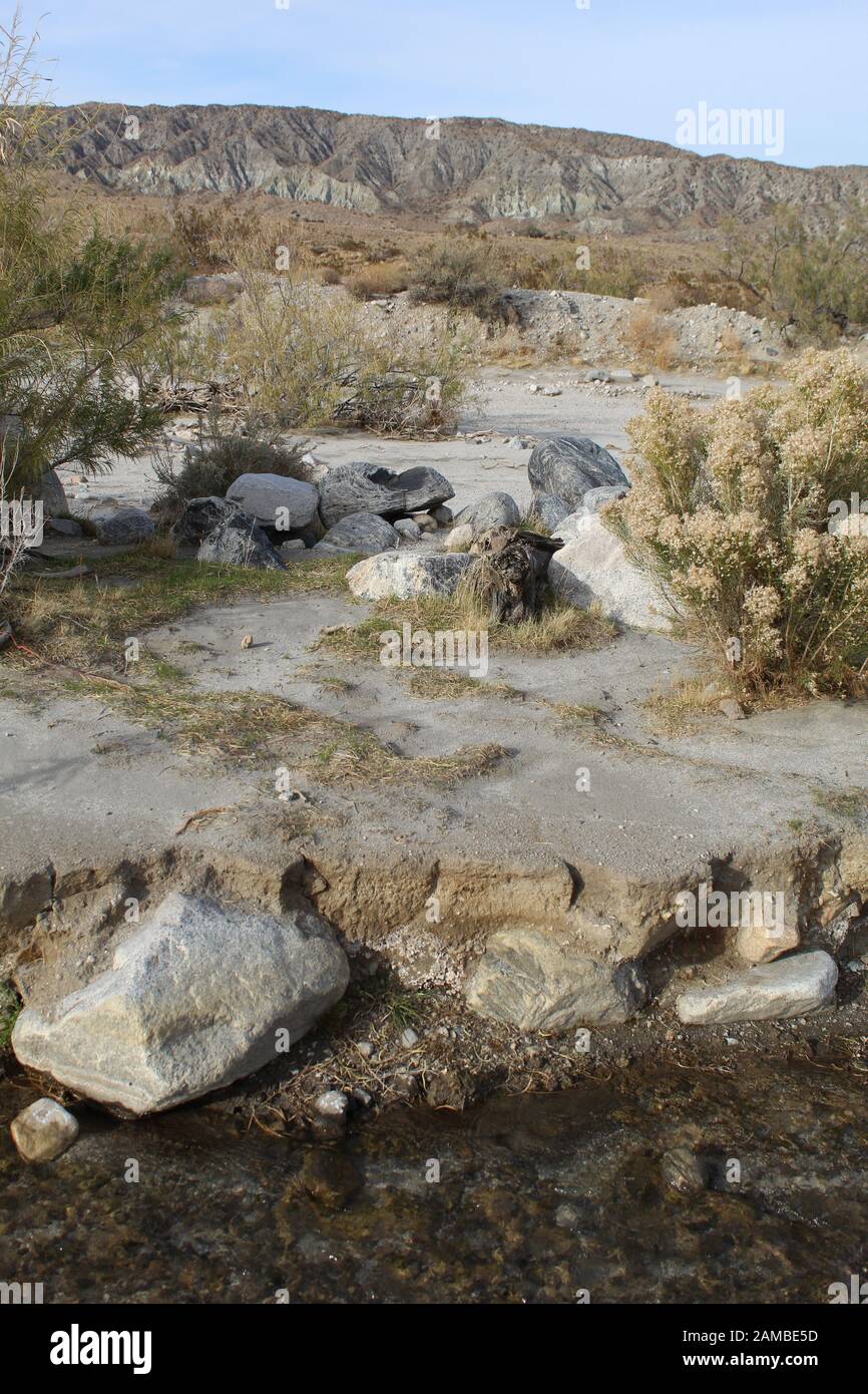 Questa rara corrente, che attraversa la confluenza Dei Deserti di Mojave e Colorado nella Mission Creek Preserve, offre un santuario ecologico. Foto Stock