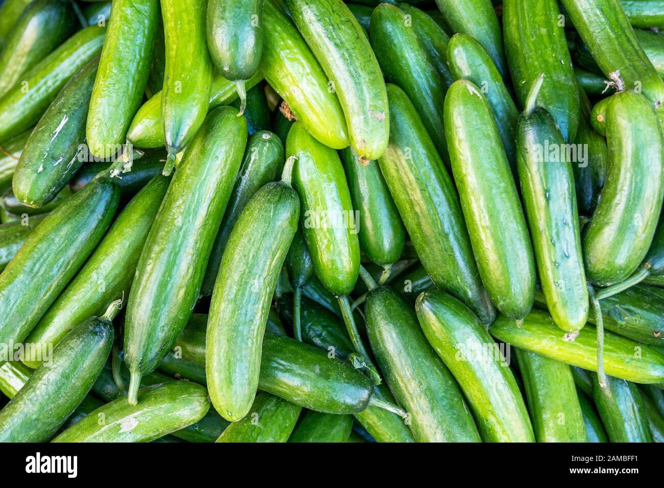 Un mucchio di verdure esotiche molto deliziose, cetrioli in una drogheria Foto Stock