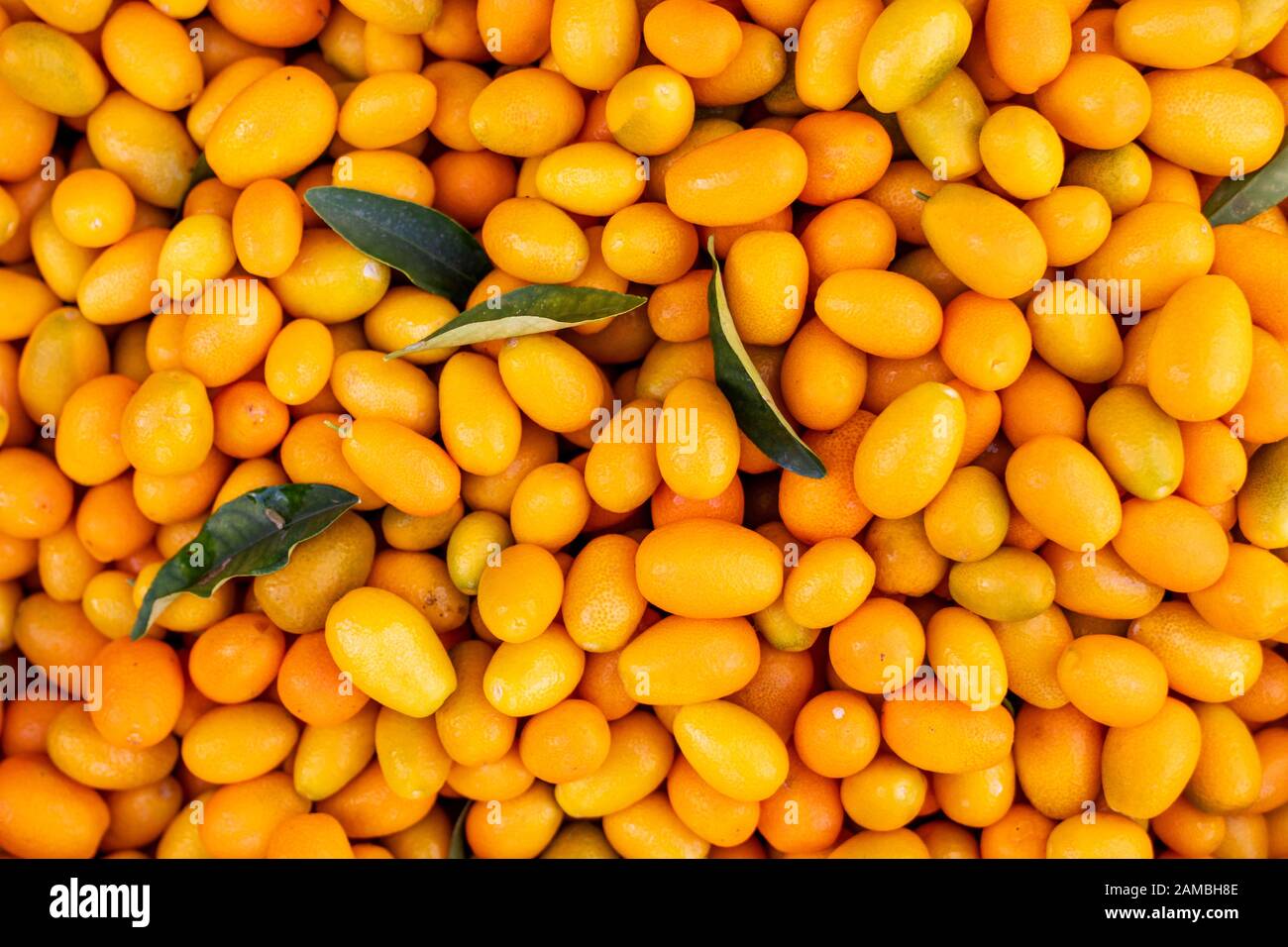 Un mucchio di molto deliziosi frutti esotici kumquat miniatura arancione Foto Stock