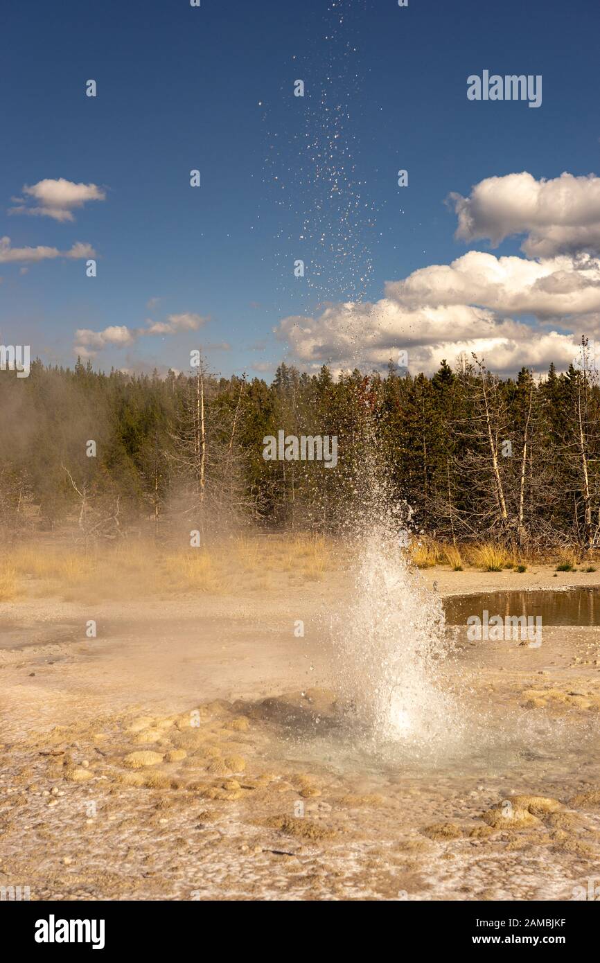Geysier im Nationalpark Yellowstone Foto Stock