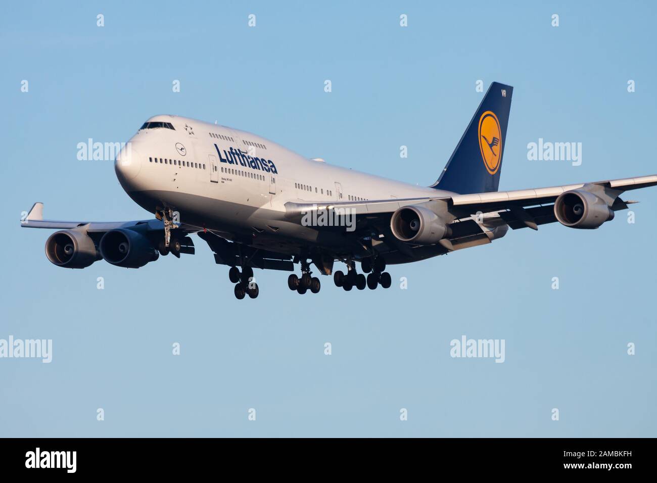 Francoforte / GERMANIA - 8 DICEMBRE 2012: Volo passeggeri Lufthansa Boeing 747-400 D-ABVR in atterraggio all'aeroporto di Francoforte Foto Stock