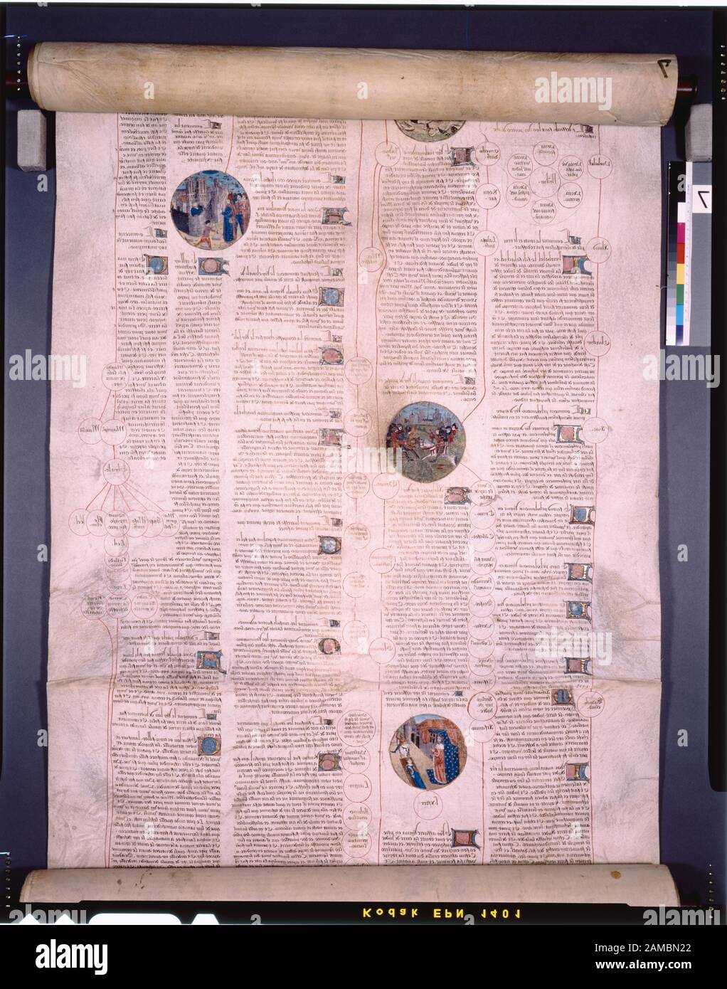 Rotolo, immagine 7 Elencato in De Ricci, Seymour, Censimento dei manoscritti medievali e rinascimentali negli Stati Uniti e in Canada. New York. N.B.: H.W. Wilson, 1935; e Supplement, New York, N.Y.: Società bibliografica d'America, 1962. Proprietà : Presentato dal Sig. E dalla Sig.ra D. J. Benoliel. In alto, più grafico del Dr. G.B. Dossier per ospiti e biblioteche. Rotolo; rotolo, immagine 7 Foto Stock