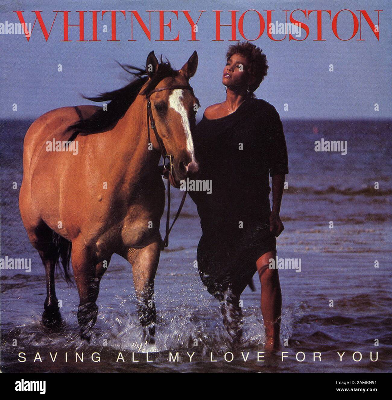 Whitney Houston - Saving All My Love For You - Album In Vinile Vintage  Classico Foto stock - Alamy
