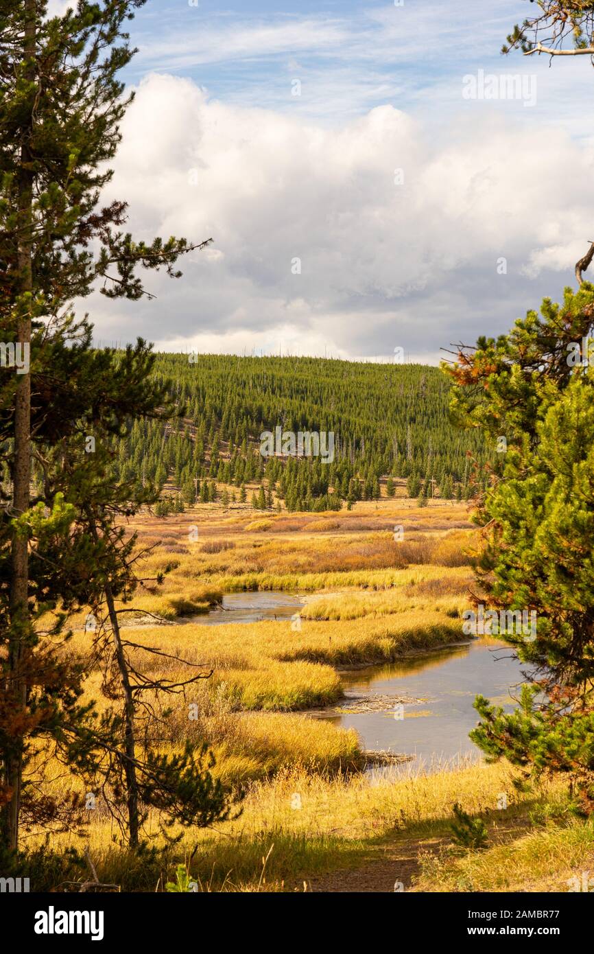 Im Moorlandschaft Yellowstone Nationalpark USA Foto Stock