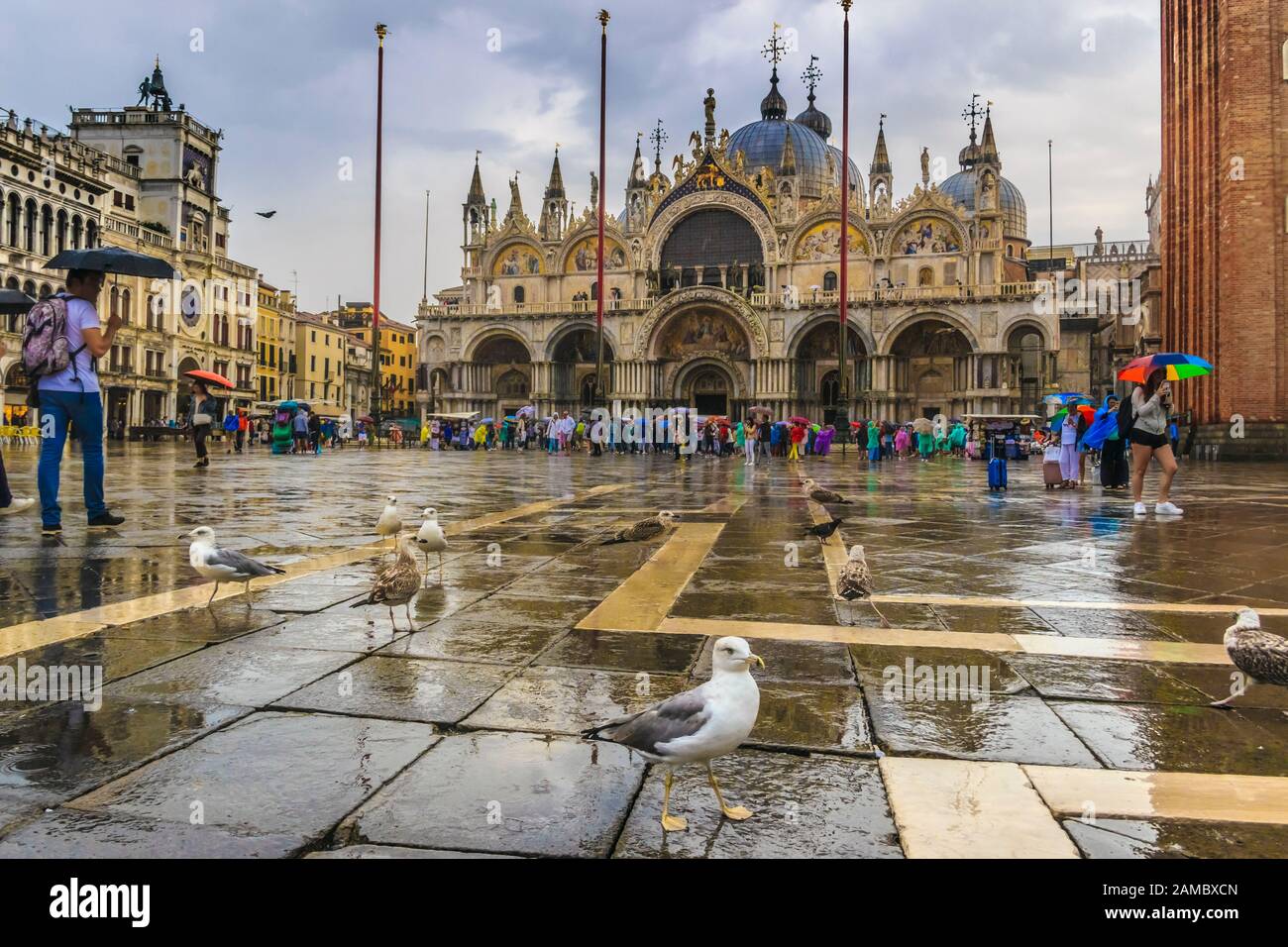 Piazza San Marco con Campanile e Basilica di San Marco. La piazza principale della città vecchia. Venezia, Italia. Foto Stock