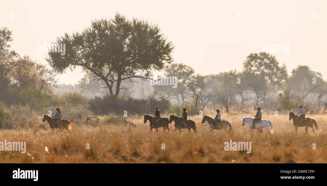 Safari a cavallo a Macatoo, Delta dell'Okavango, Botswana Foto Stock