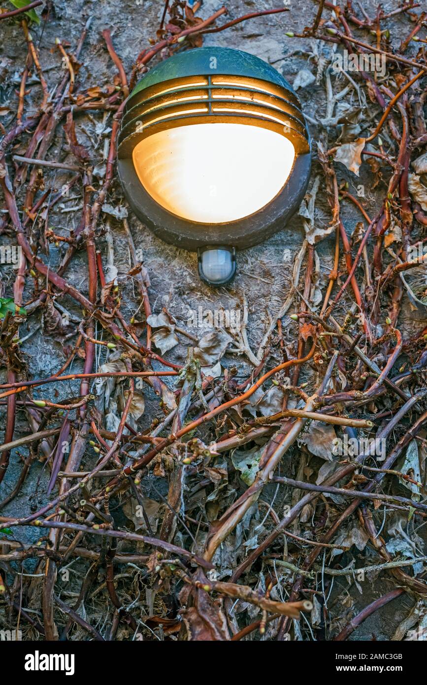 Luce di sicurezza illuminata montata a parete con rilevatore di movimento sotto l'ombra. Foto Stock